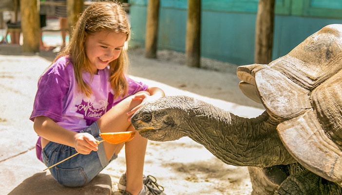 Gatorland Shows