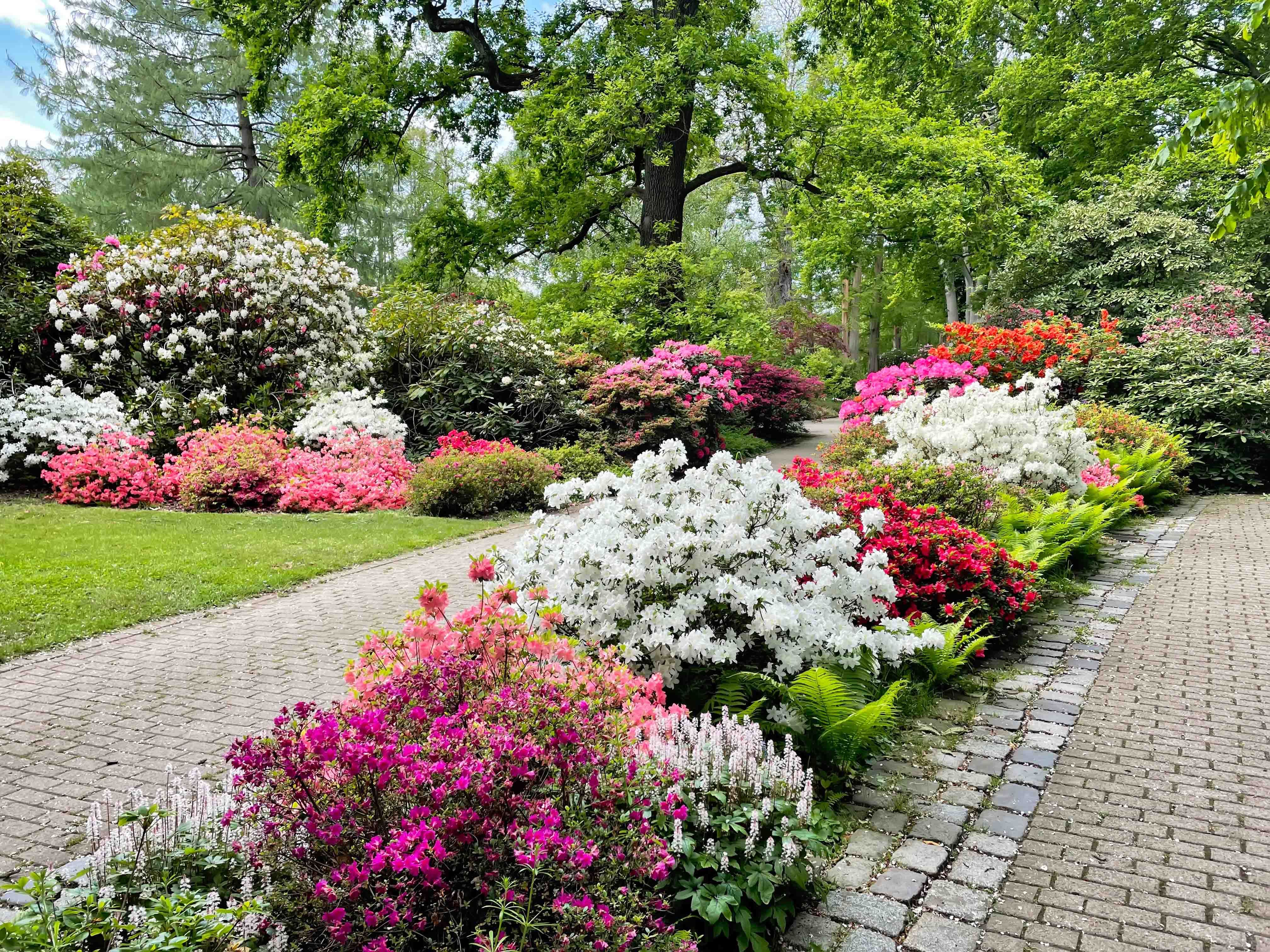 Pathway through colorful flower gardens at Greenacre Park.