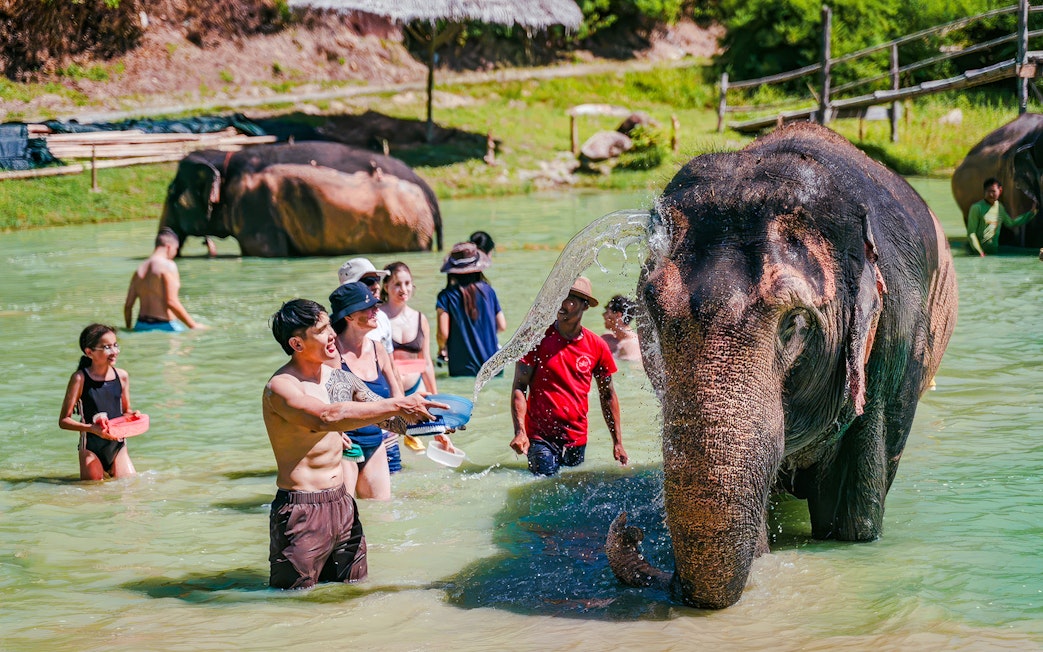 People bathing elephants at Phuket Elephant Care, Thailand.
