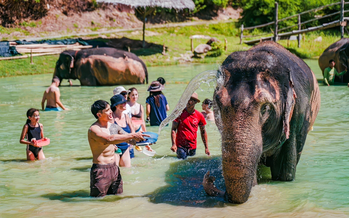 People bathing elephants at Phuket Elephant Care, Thailand.