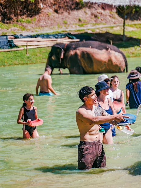 People bathing elephants at Phuket Elephant Care, Thailand.