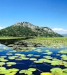 Parque Nacional del Lago de Skadar