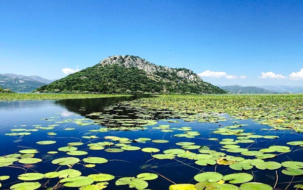 from virpazar: skadar lake national park guided boat tour with drinks-3
