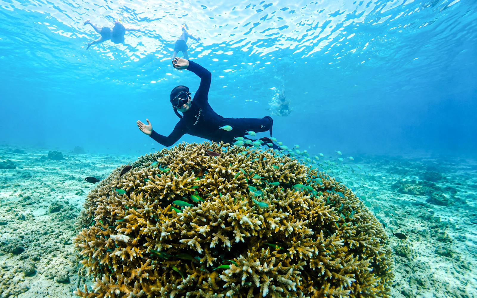 Gili Trawangan Private Glass-Bottom Boat Snorkeling Tour to Gili Meno Image 2