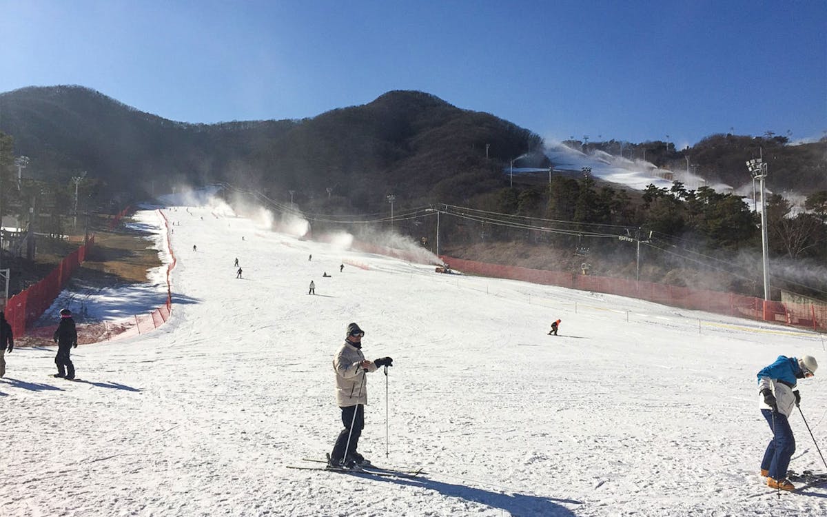 day tour of jisan forest ski resort from seoul-6 day tour of jisan forest ski resort from seoul-6