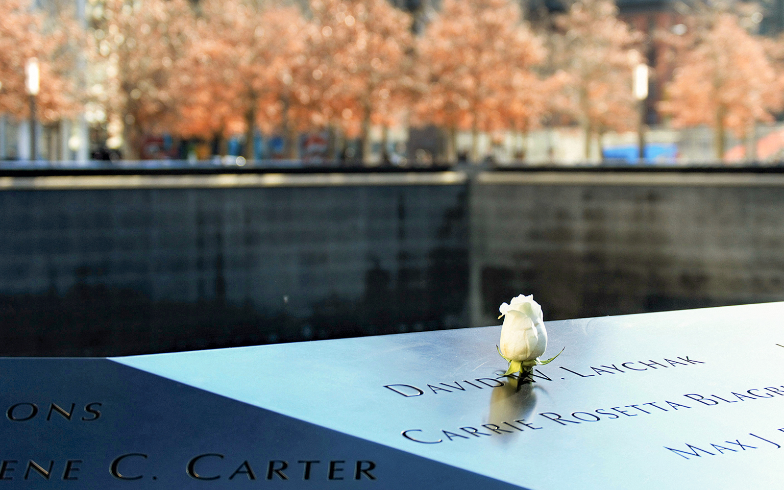 White rose on 9/11 Memorial names panel in New York City.