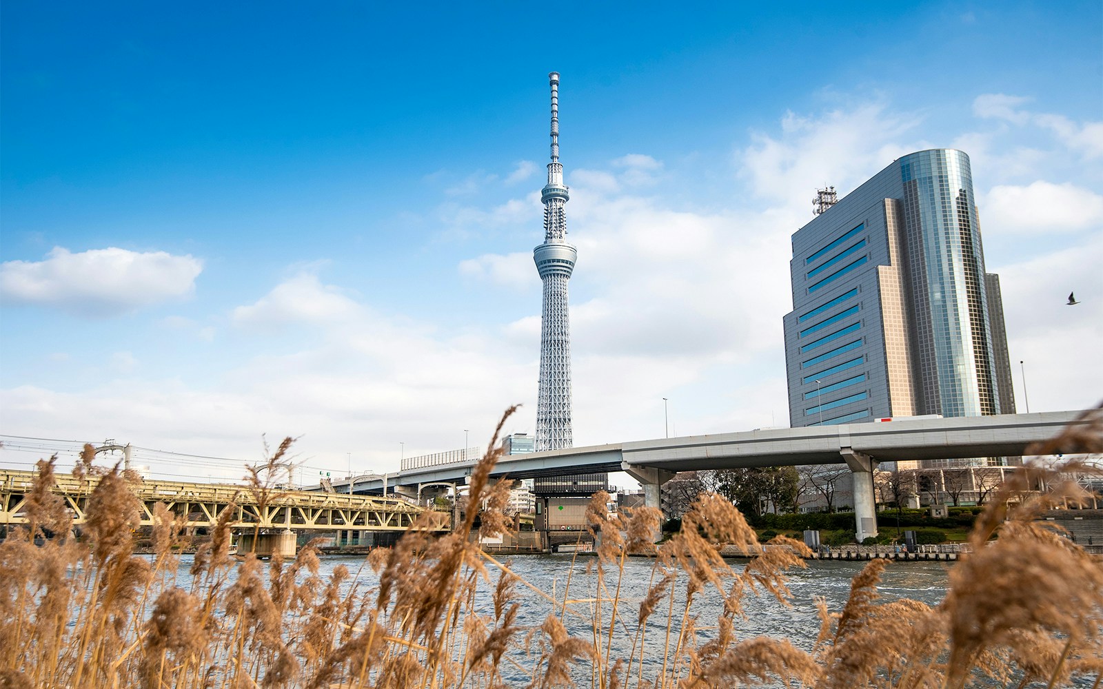 Tokyo Skytree