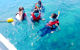 von bangkok aus: tagesausflug nach koh larn (coral island) und „art in paradise“ in pattaya-3