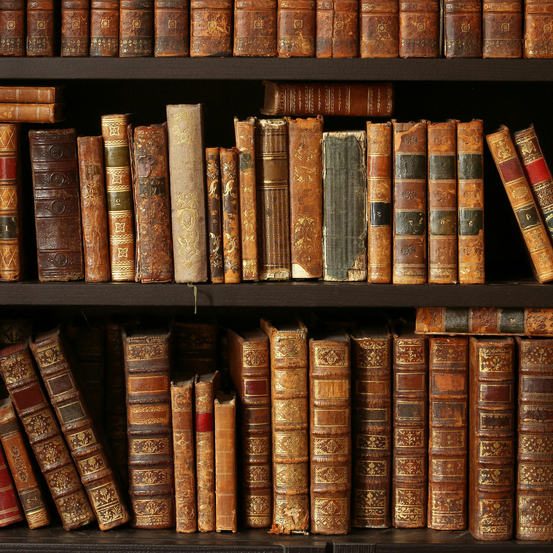 Old books on wooden shelf in a historic library, showcasing vintage literature collection.
