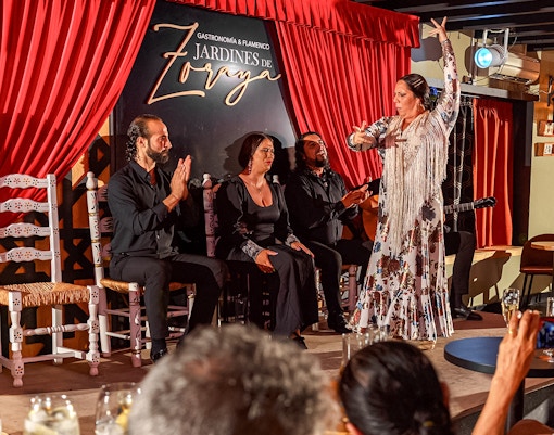 Flamenco Show Granada