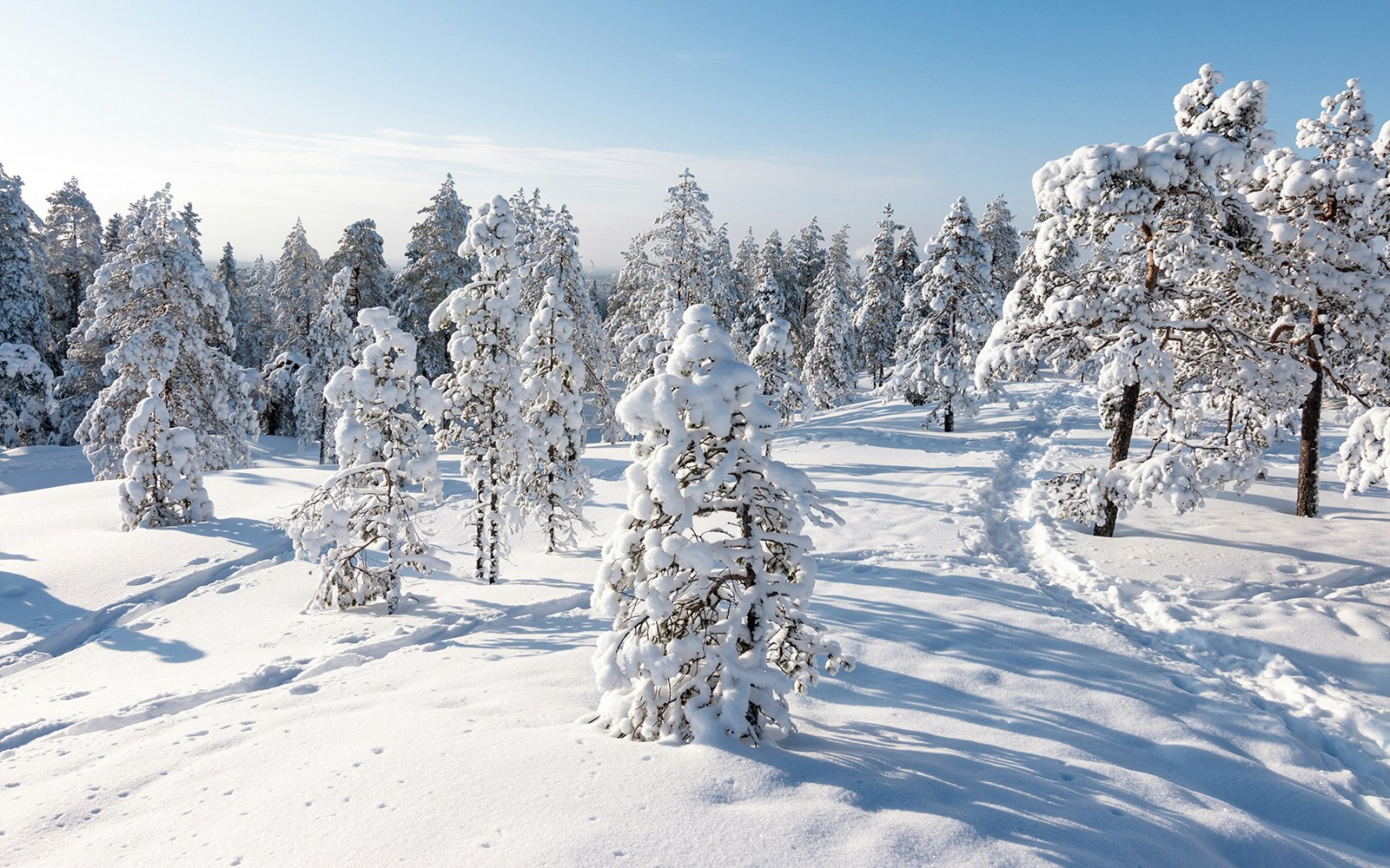 Rovaniemi scenery