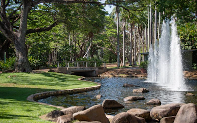 Fountain and lush greenery in a park during a guided half-day city tour of Darwin.