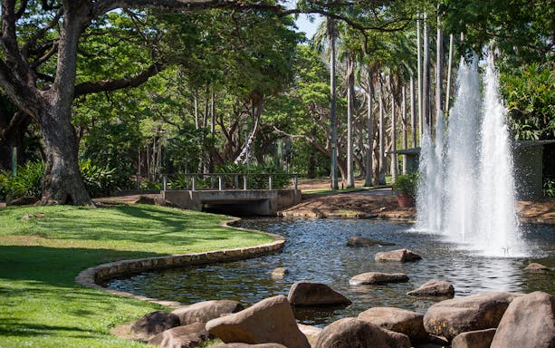 Fountain and lush greenery in a park during a guided half-day city tour of Darwin.
