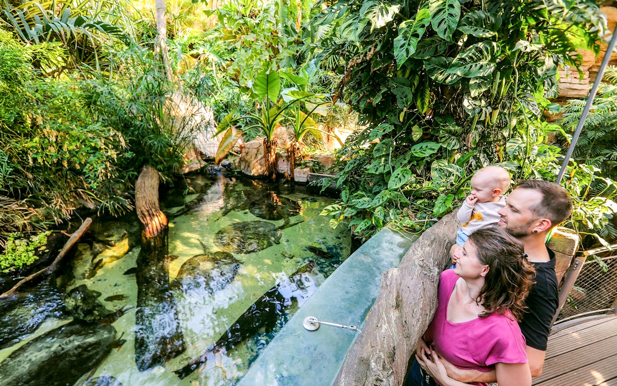 Couple with child at tropical greenhouse, Sea Life Hannover.