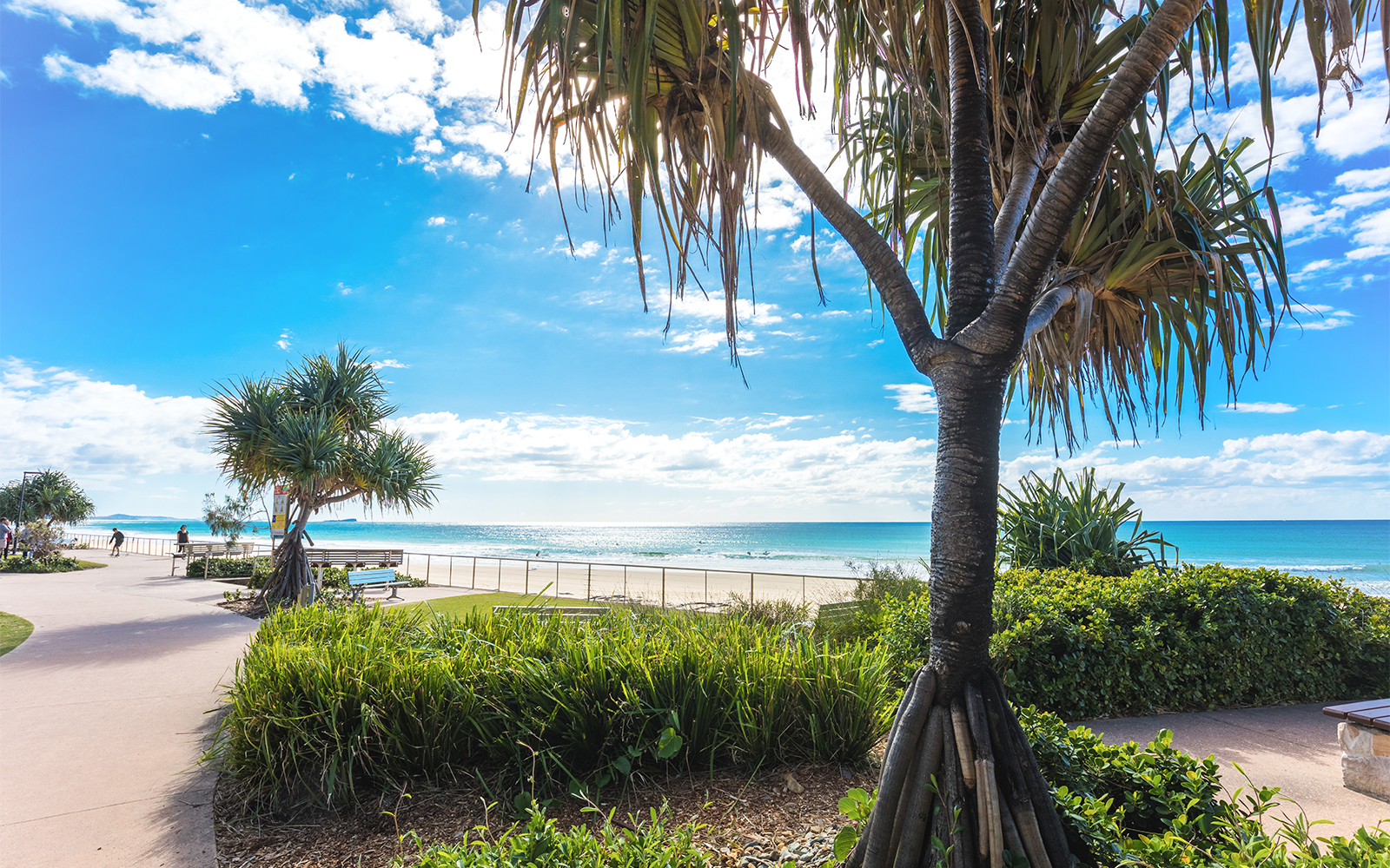 'Manzaralı Loo'yu Çekin