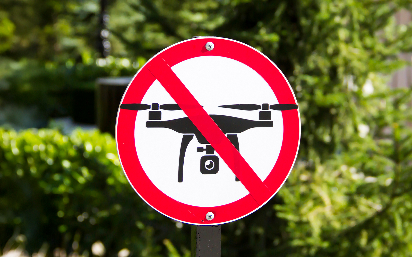 No drone flying sign in a park setting.