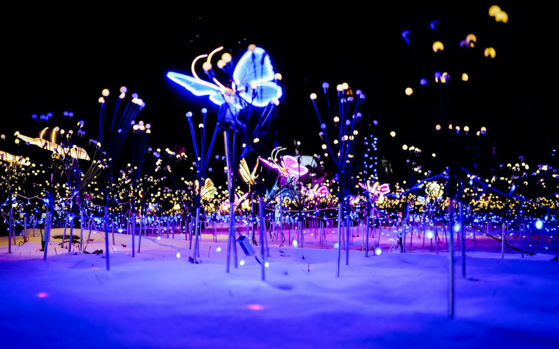Lantern display at Jardin d'Acclimatation Nuits Indiennes Festival, Paris.