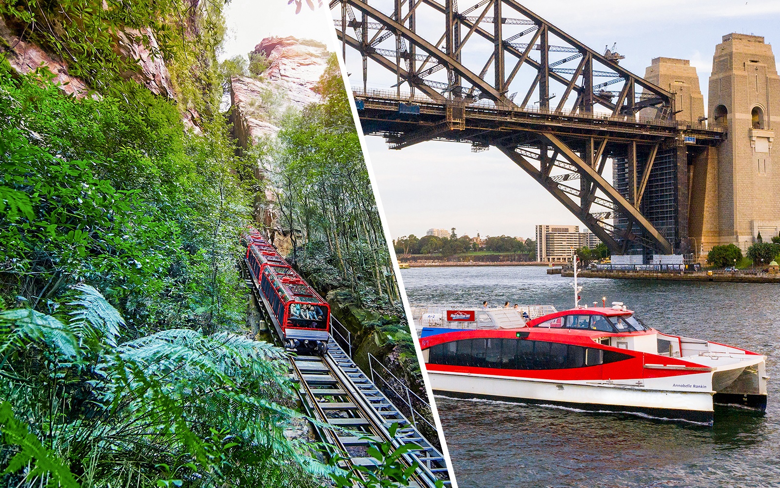 Scenic railway through lush forest at Scenic World, Blue Mountains.