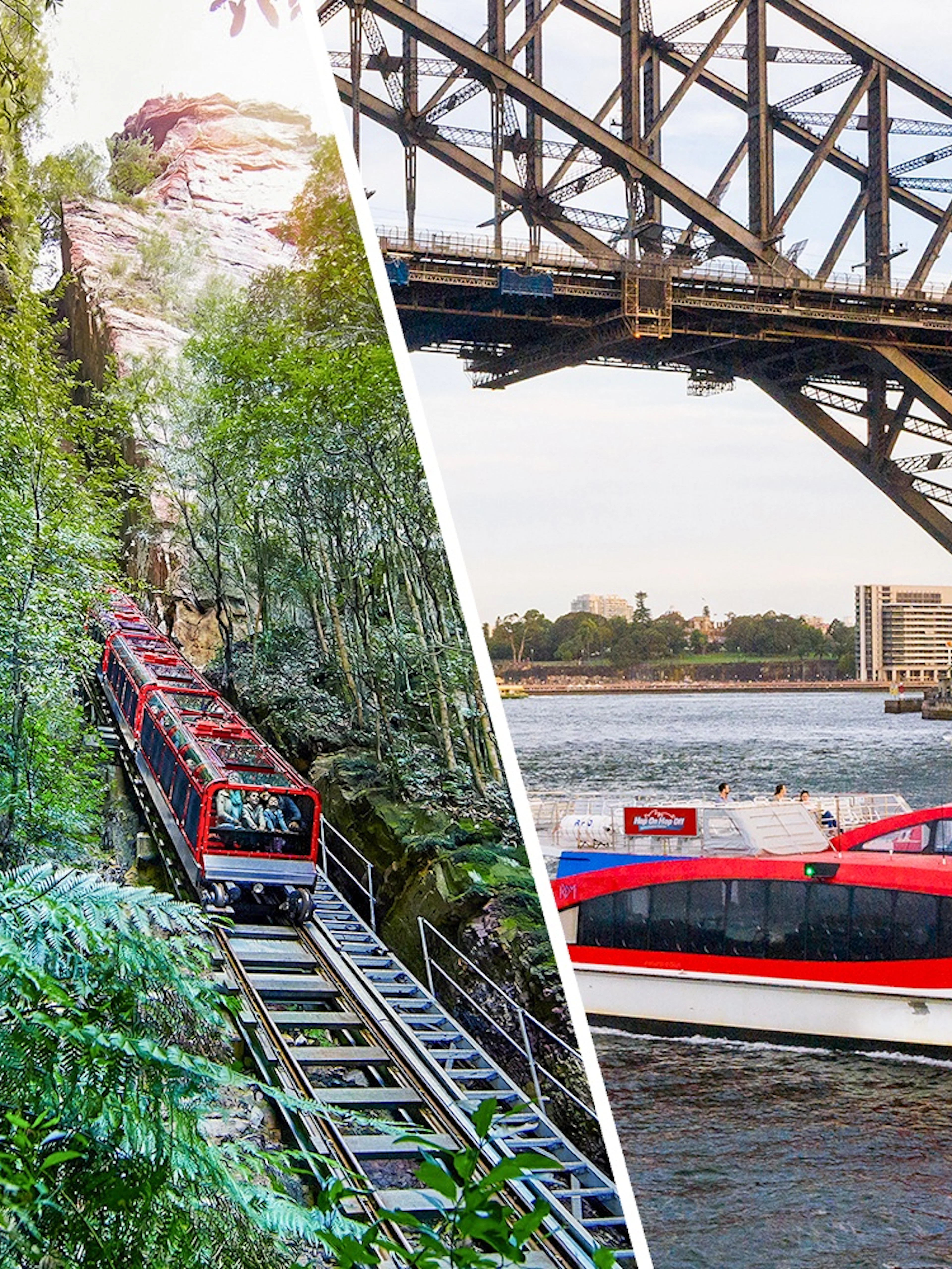 Scenic railway through lush forest at Scenic World, Blue Mountains.