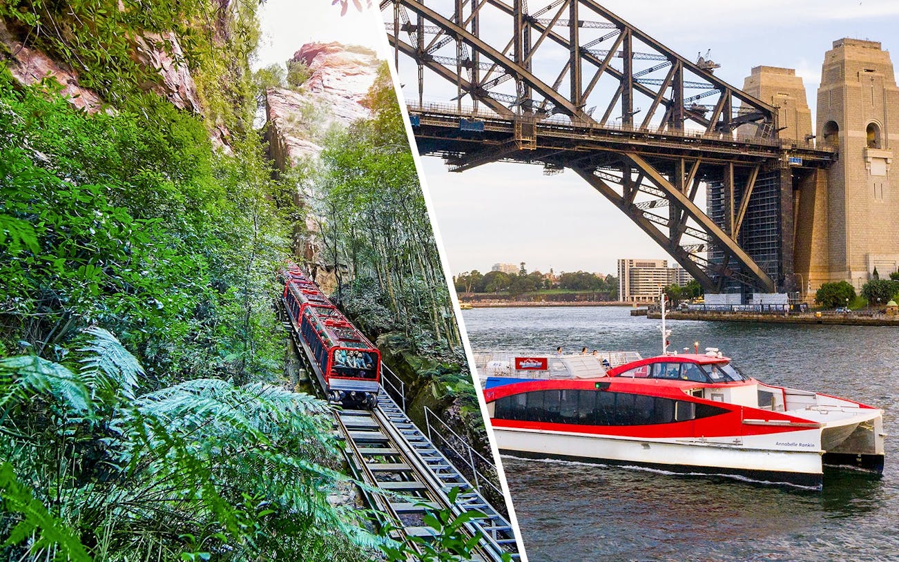 Scenic railway through lush forest at Scenic World, Blue Mountains.