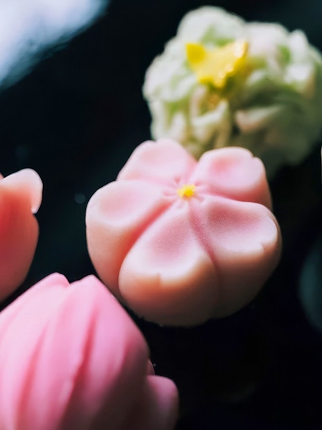 Wagashi sweets arranged for a traditional tea ceremony.