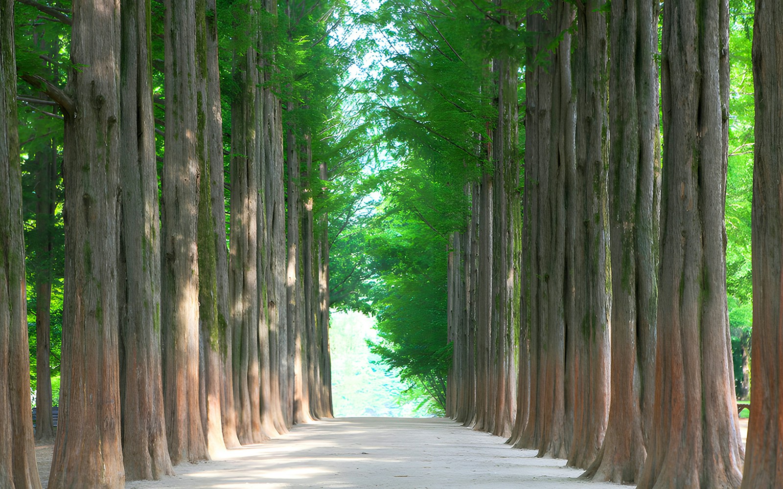 Nami Island