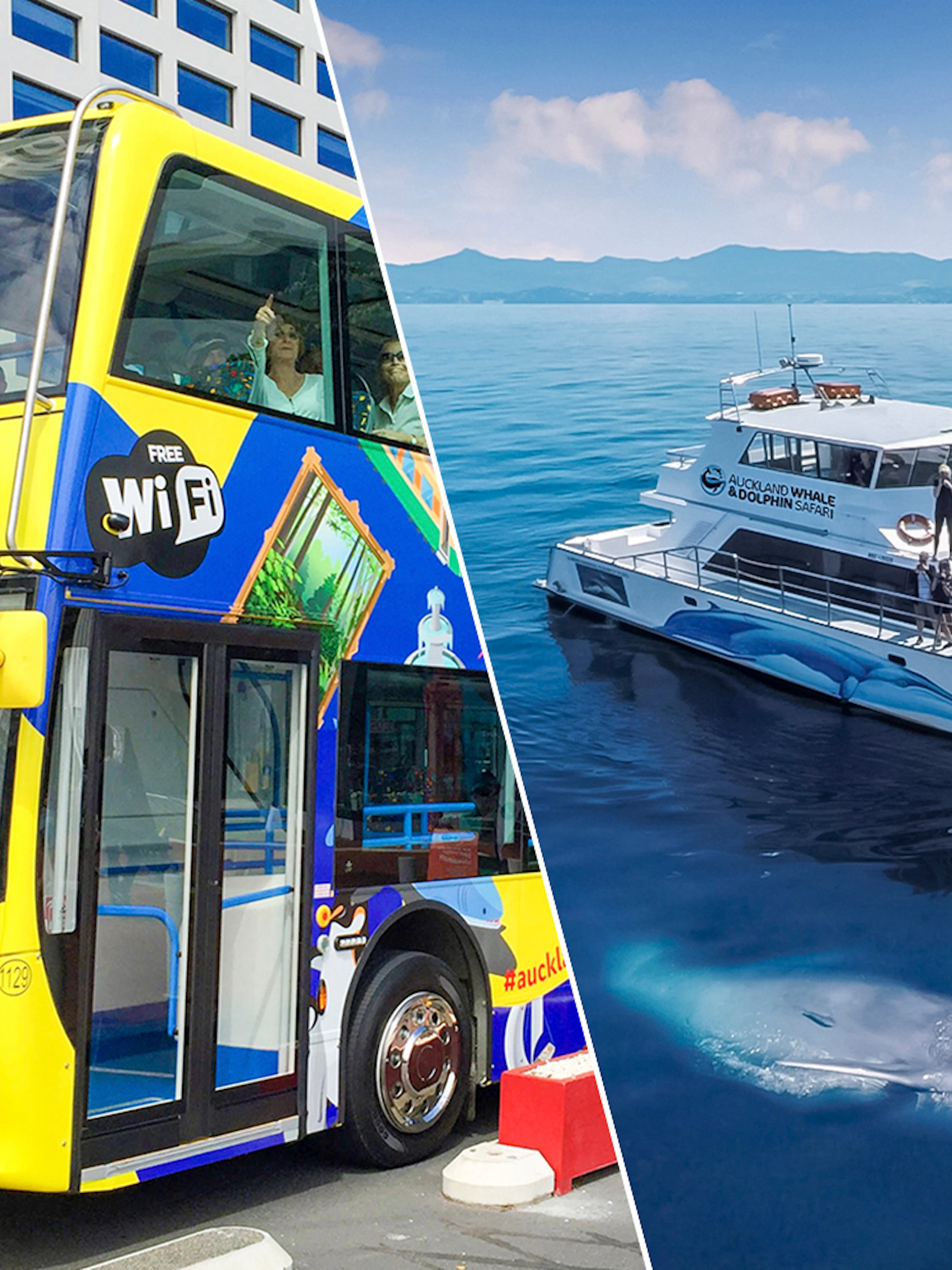 Auckland Explorer bus and whale watching cruise boat with passengers.
