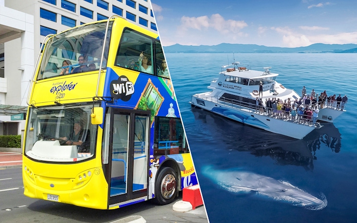 Auckland Explorer bus and whale watching cruise boat with passengers.