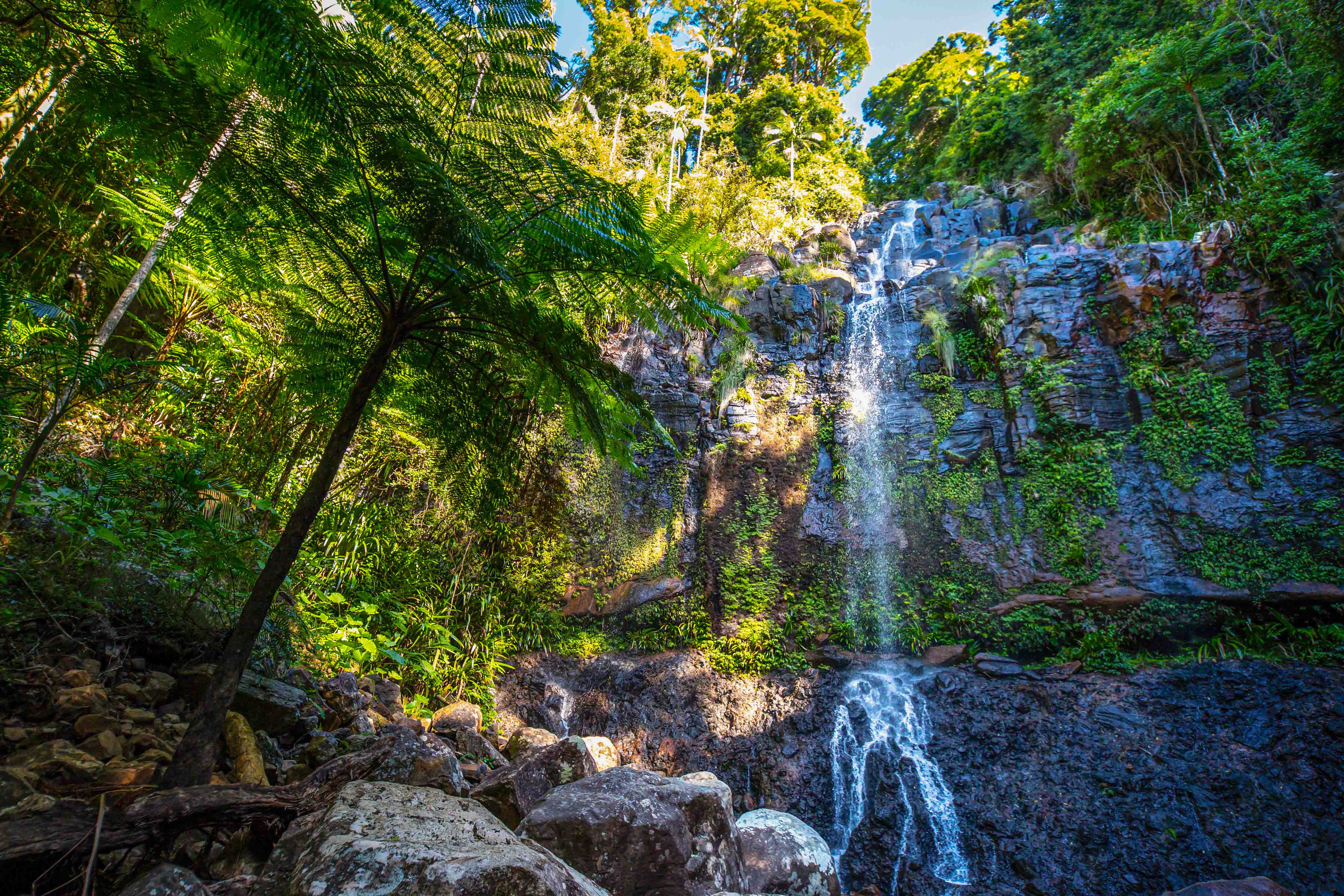 Things to do in Gold Coast