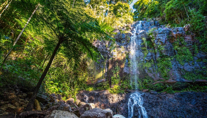 Things to do in Gold Coast