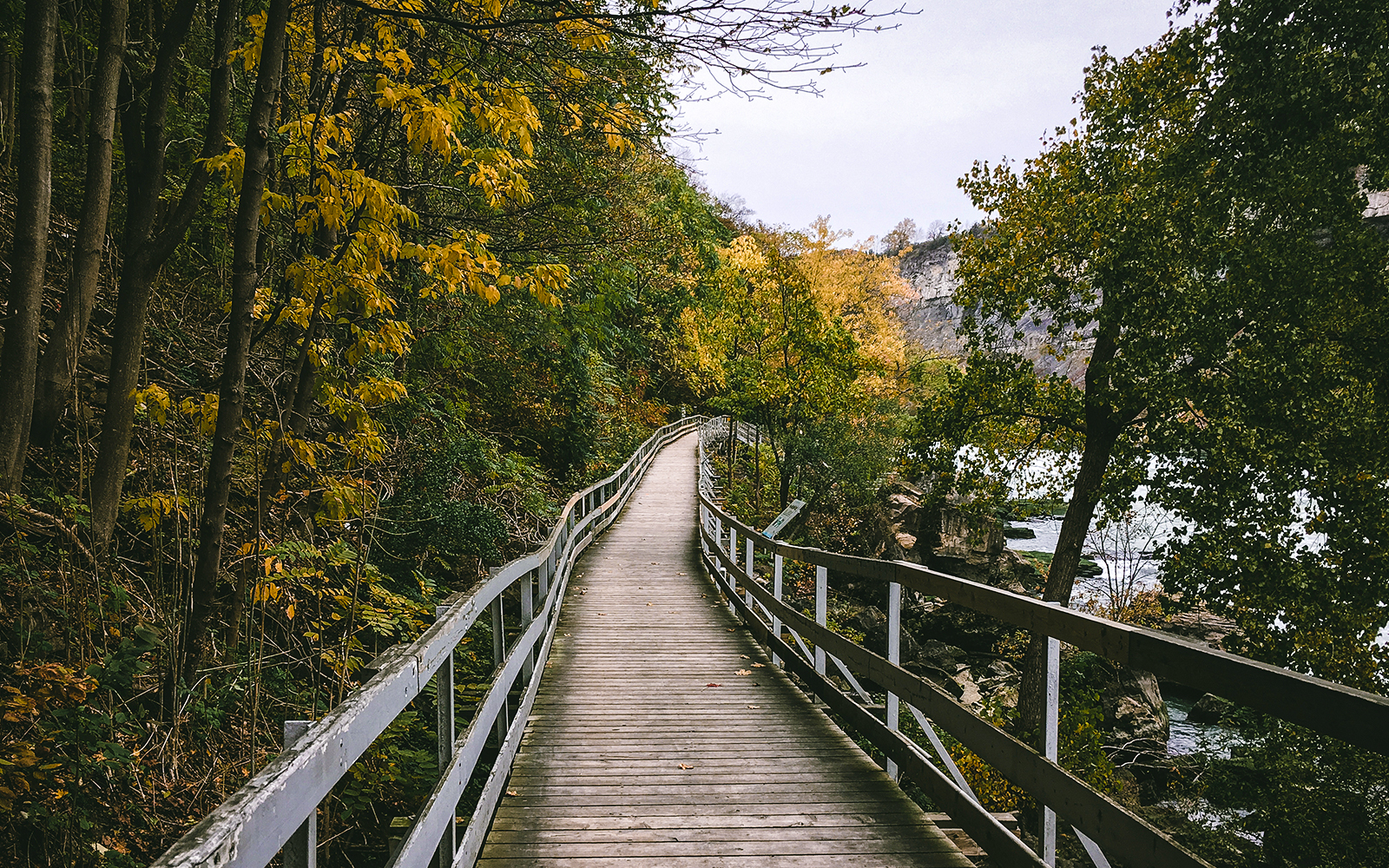 Visitors walking along the boardwalk beside the rushing rapids at White Water Walk, Niagara.