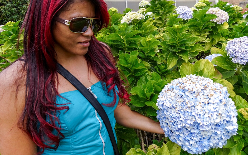 Family observing giraffes at Jardim Zoologico, Lisbon.