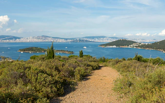 Istanbul skyline viewed from Princess Island with sea and greenery in the foreground.