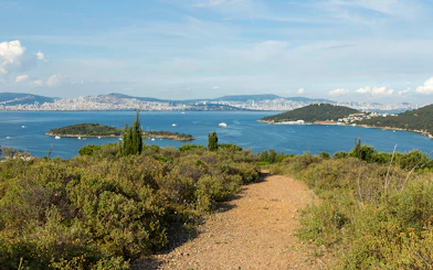 Istanbul skyline viewed from Princess Island with sea and greenery in the foreground.