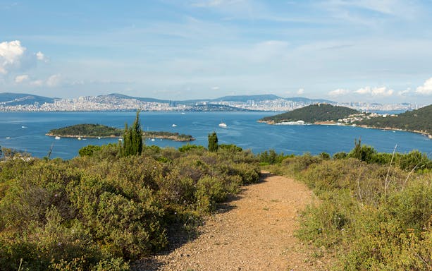 Istanbul skyline viewed from Princess Island with Bosphorus Strait in the foreground.