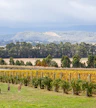 Domaine Chandon