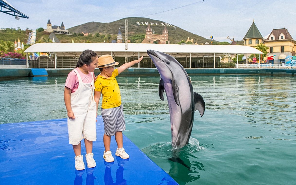 Children interacting with a dolphin at Vinpearl, Vietnam.