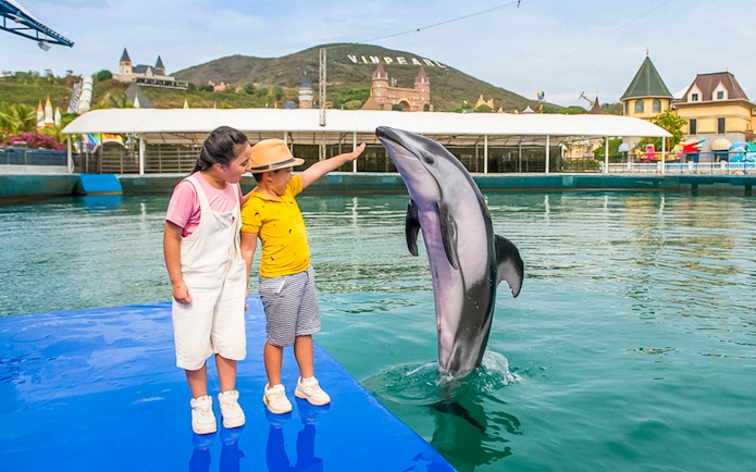 Children interacting with a dolphin at Vinpearl, Vietnam.