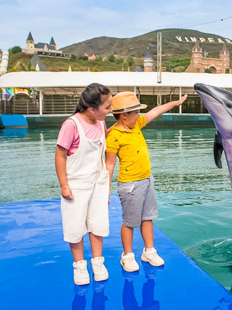 Children interacting with a dolphin at Vinpearl, Vietnam.