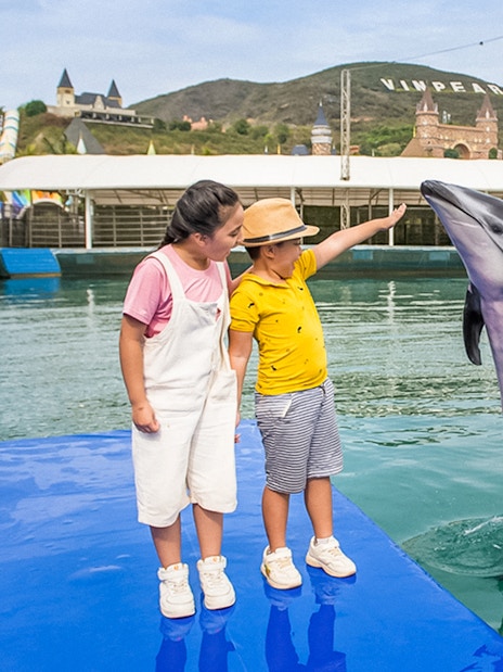 Children interacting with a dolphin at Vinpearl, Vietnam.