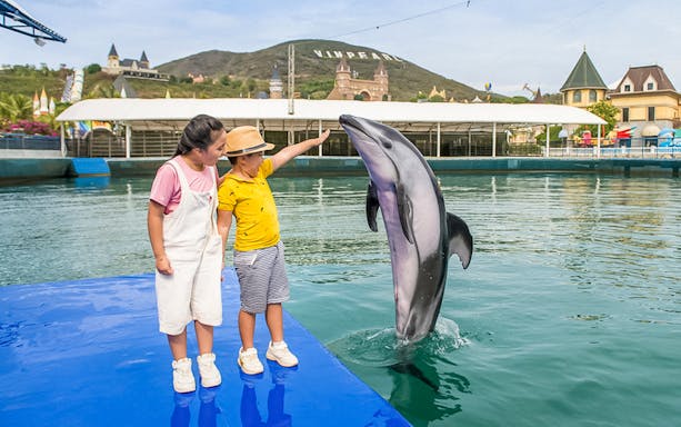 Children interacting with a dolphin at Vinpearl, Vietnam.