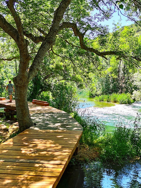 Wooden walkway through lush greenery at Krka National Park, Croatia.