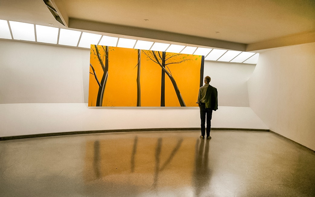 Visitor viewing modern art at Guggenheim Museum, New York.