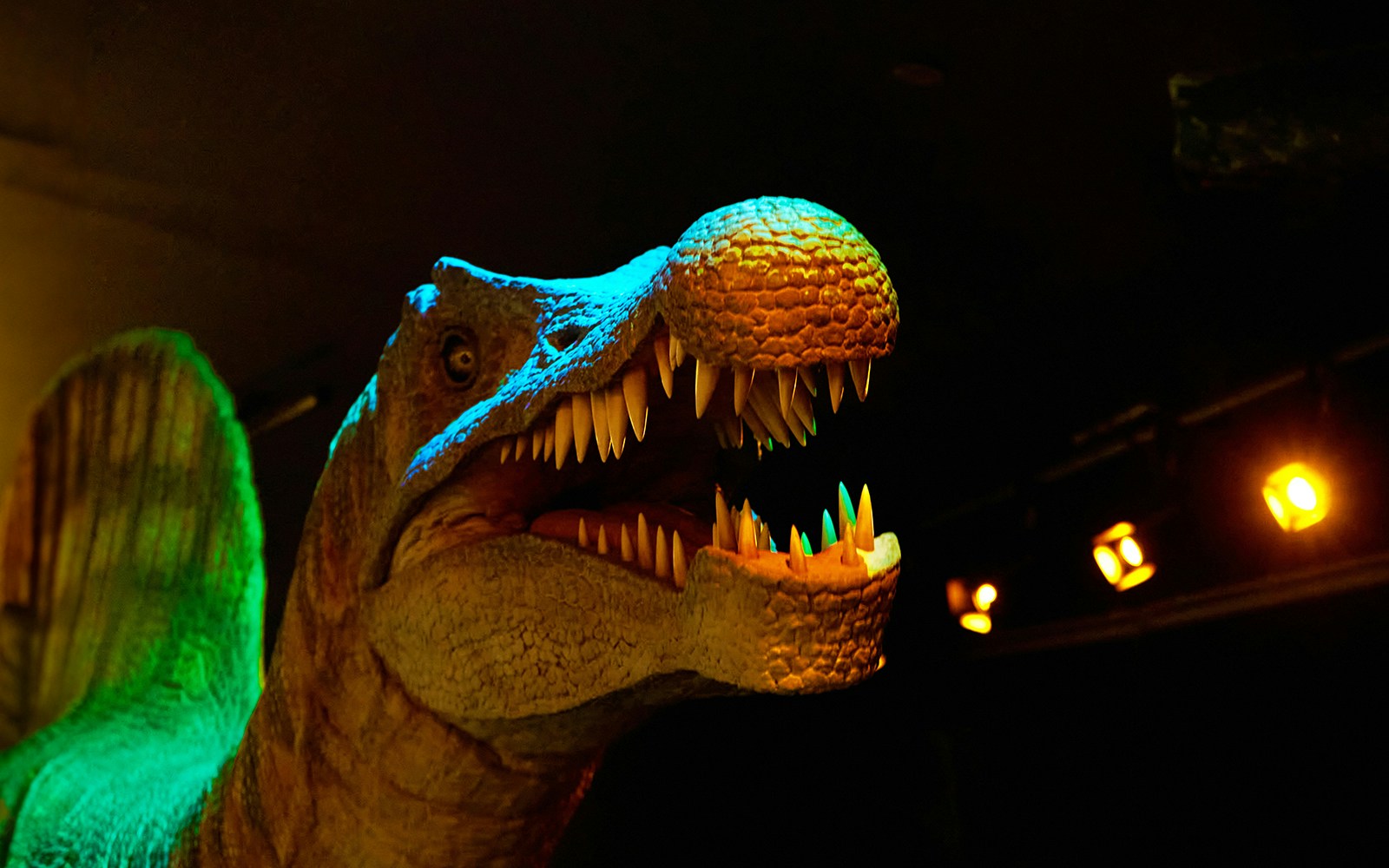 Garden Glow Dinosaur Park