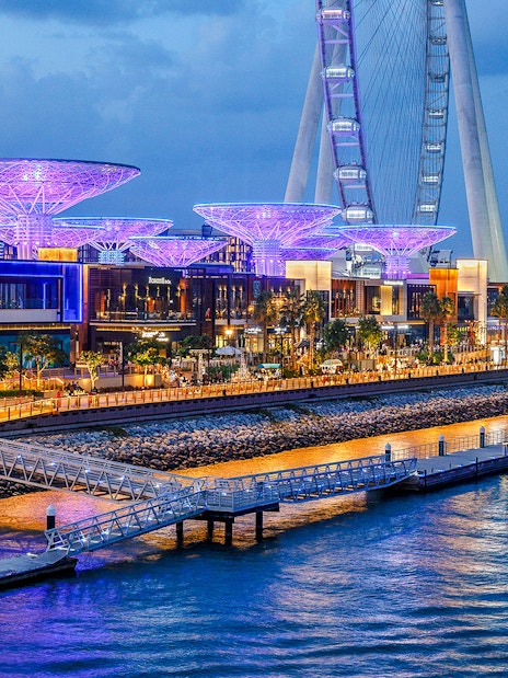 Ain Dubai wheel and illuminated waterfront promenade at dusk.