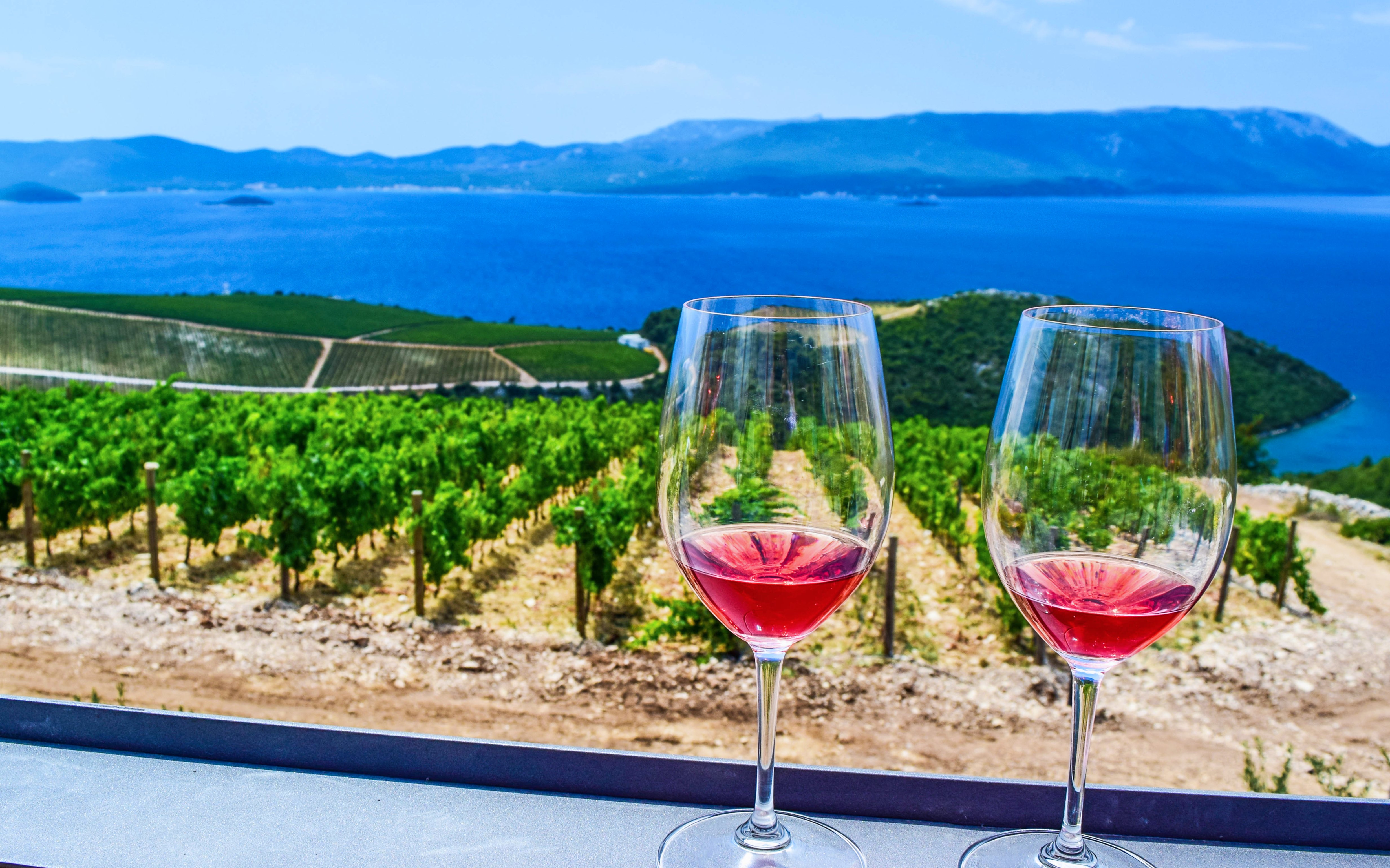 Two wine glasses overlooking a vineyard in Peljesac, Croatia, with the Adriatic Sea in the background.