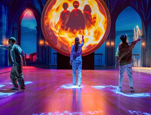 Harry Potter Visions of Magic Hero