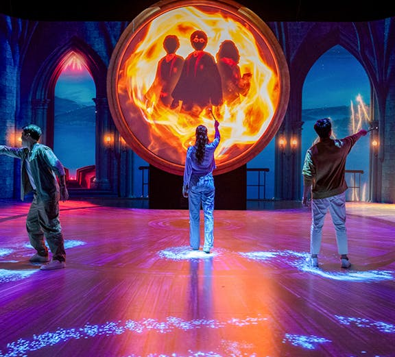 Harry Potter Visions of Magic Hero