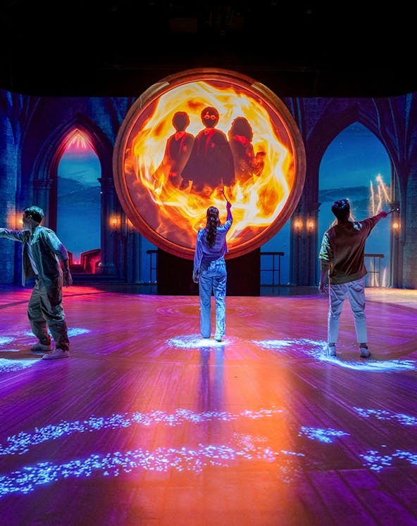 Harry Potter Visions of Magic Hero