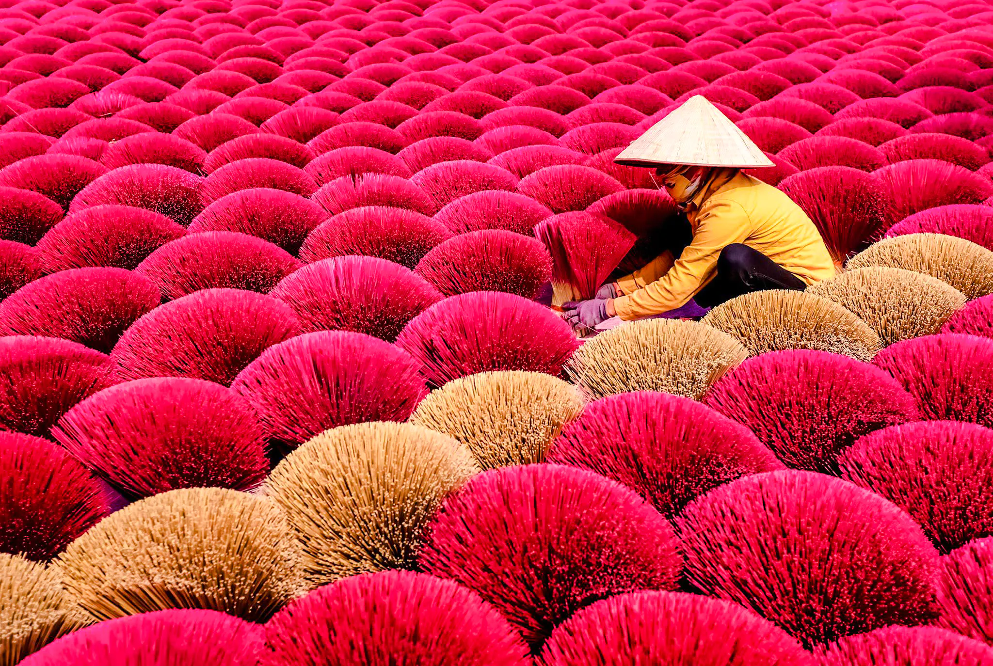 Worker arranging incense sticks in Hanoi's Incense Village.